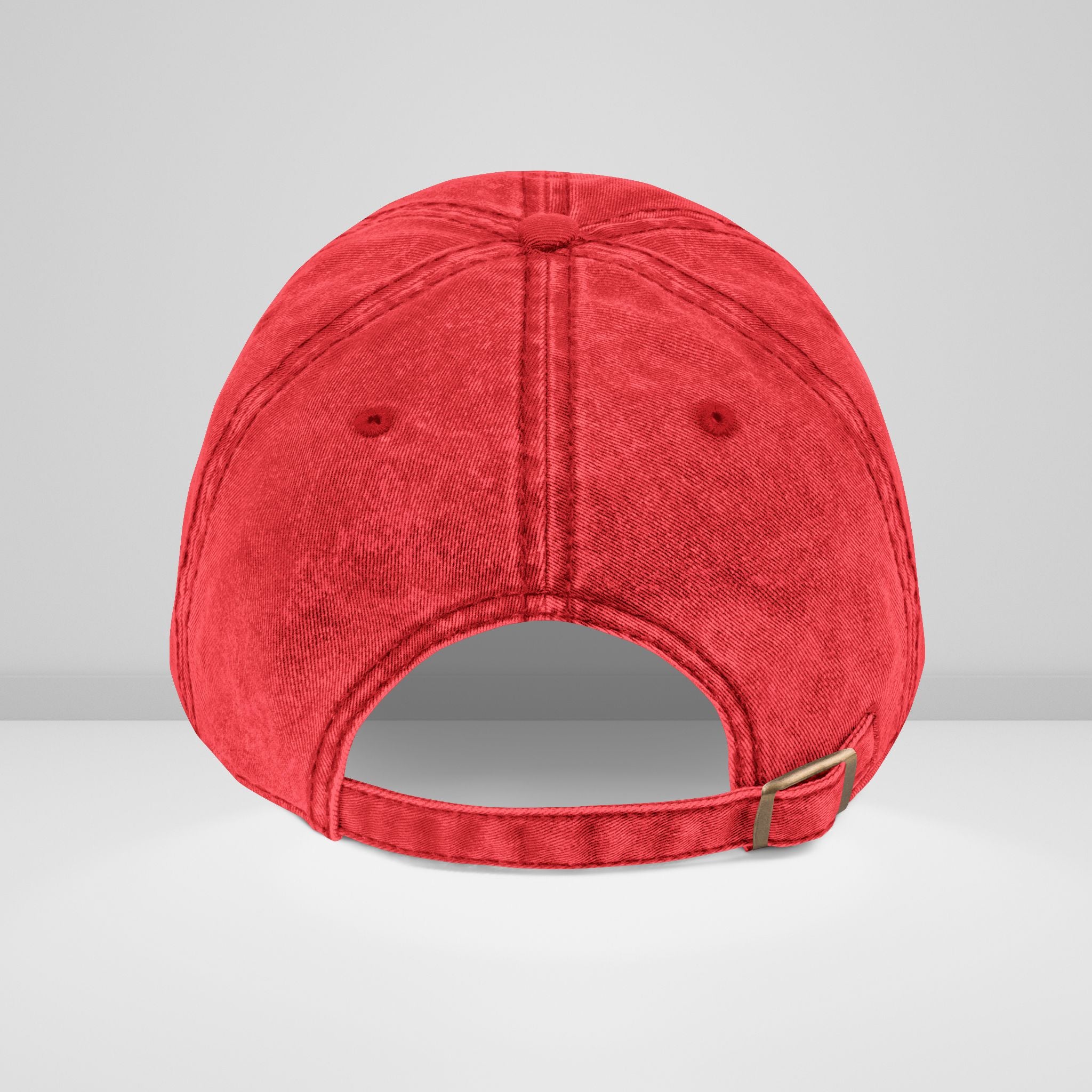Embroidery Cap - The Scientist Vintage Style